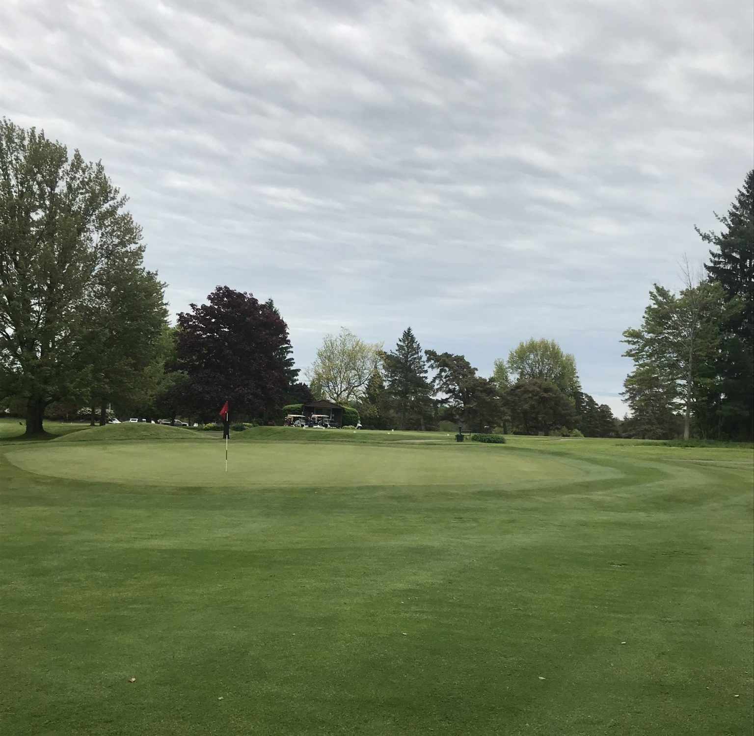 Willie Park Jr.’s Amazing Greens at the Moonbrook Country Club